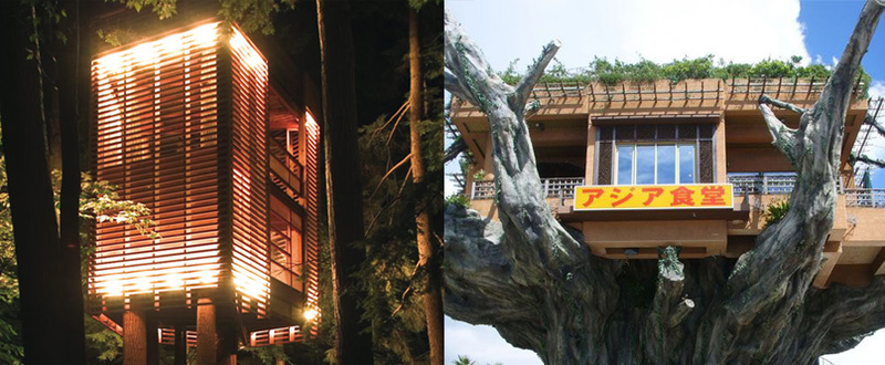 Illustration for article titled 10 Amazing Treehouses That Make Us Never Wanna Come Down